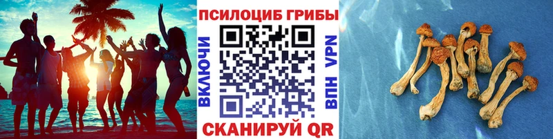 Галлюциногенные грибы мухоморы Иркутск